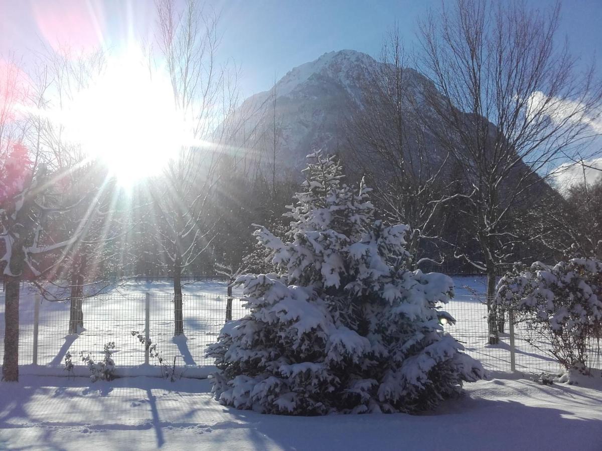 Chalet De L'Oisans Allemont Luaran gambar